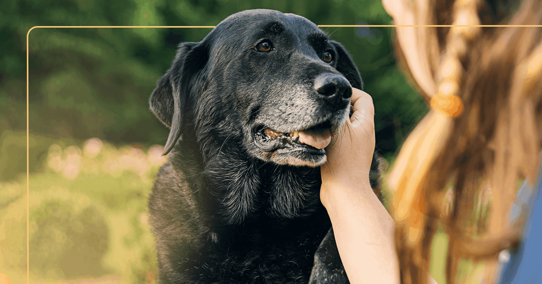 woman experiencing persistent worry with her pet