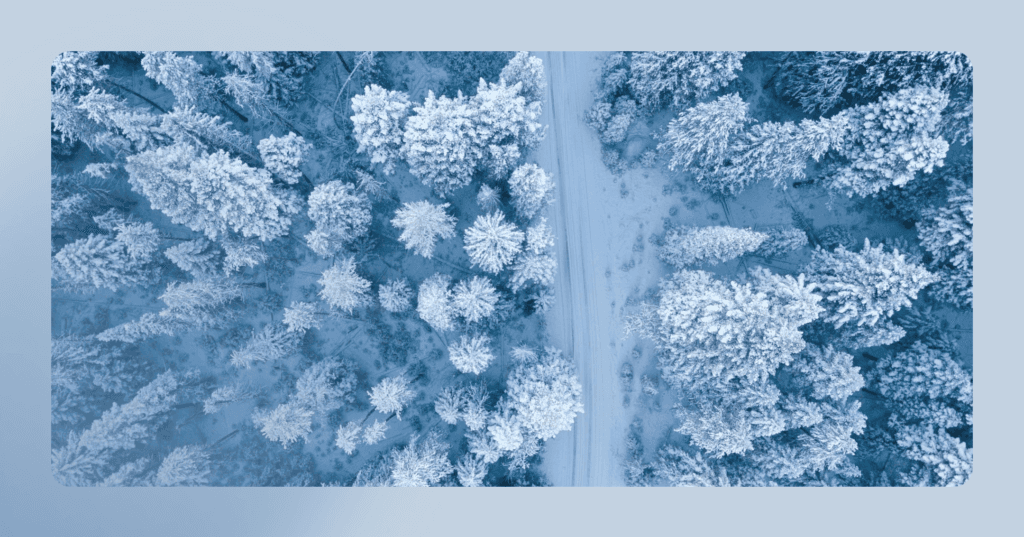 Image shows an aerial view of rows of snow covered trees. There is a road in the center of the screen. Everything is in a dark shade of blue. There is a light blue border around the image.
